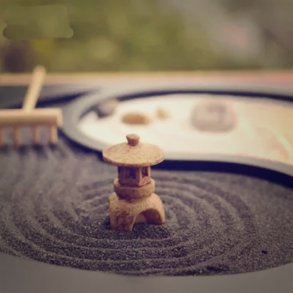 Mini Zen Garden